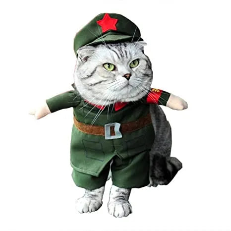 Military Cat Costume
