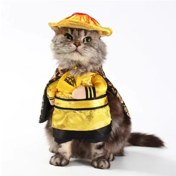Fun emperor cat costume | Chic et Chat