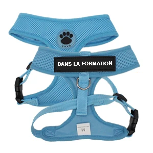 Cat harness with personalized patch | Chic et Chat