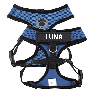 harnais pour chat personnalisé bleu