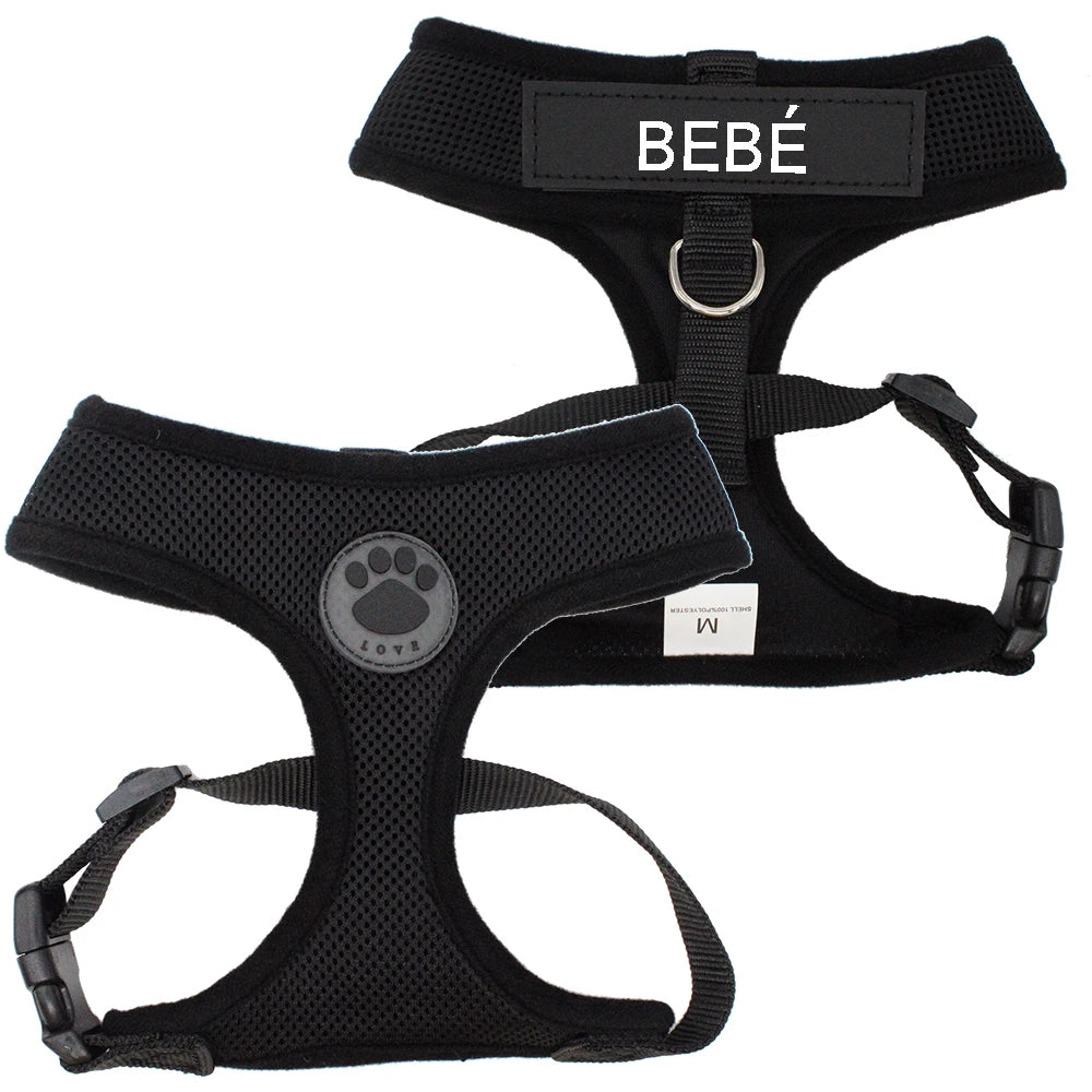 Black cat harness with patch | Chic et Chat
