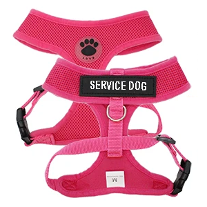 harnais pour chat personnalisé rose