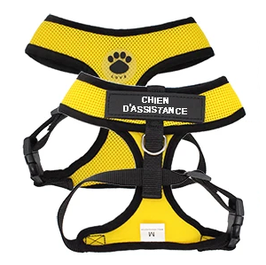 Yellow personalized cat harness | Chic et Chat