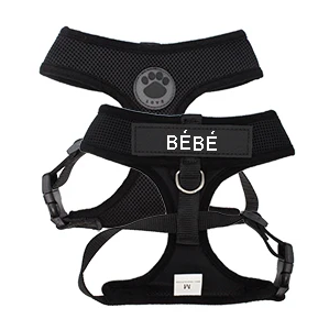 Personalized cat harness | Chic et Chat