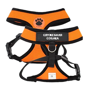 harnais personnalisé pour chat orange