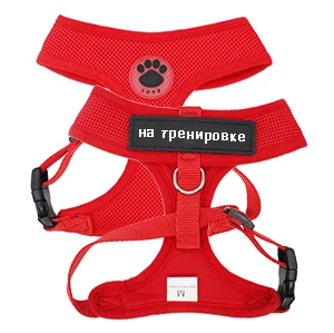 harnais pour chat personnalisé rouge