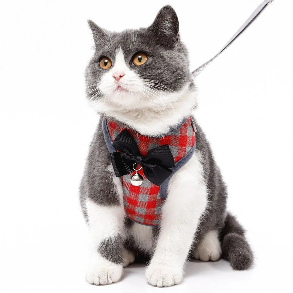 Katzengeschirr mit Karomuster, Fliege und Leine - Rot | Chic et Chat