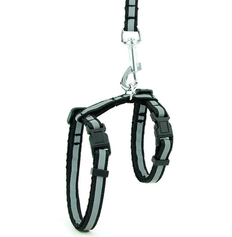 Personalized Reflective Cat Harness, Free Engraving | Chic et Chat