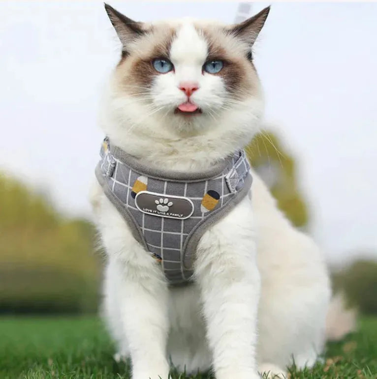 harnais respirant pour chat