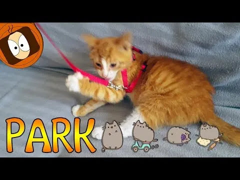 Nylon Cat Harness and Leash, Optimal Comfort | Chic et Chat