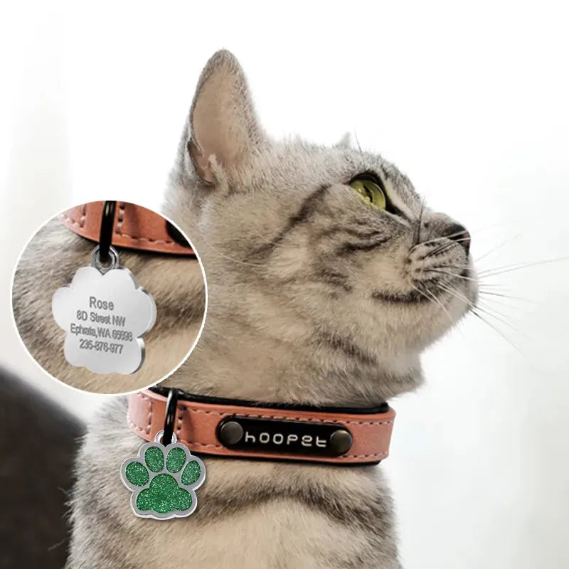 médaille pour chat