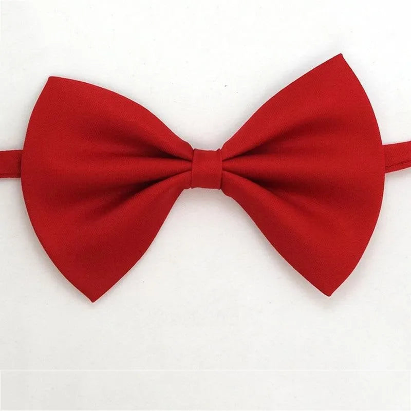 Cat bow tie | Chic et Chat