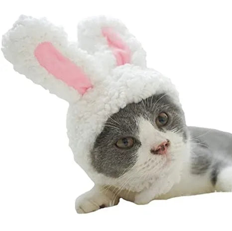 Bunny Ears Cat Costume