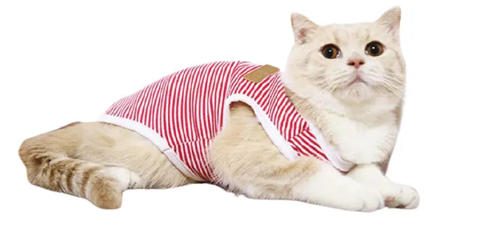 vetement pour chat rouge