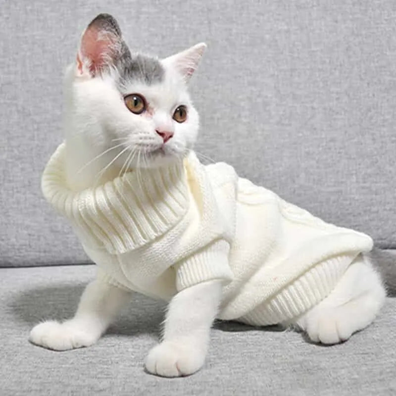 Pull en Coton Doux pour Chat – Confort Quotidien - Bleu | Chic et Chat