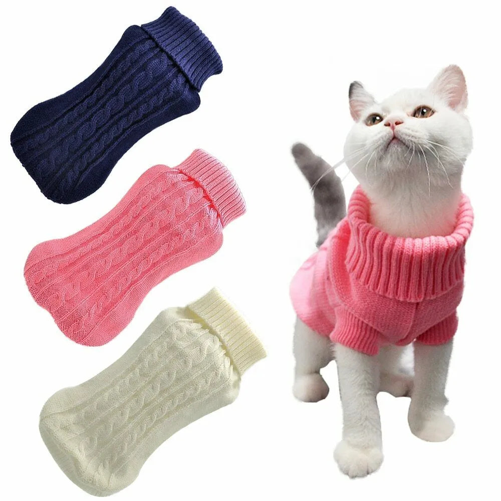 pull pour chat chic