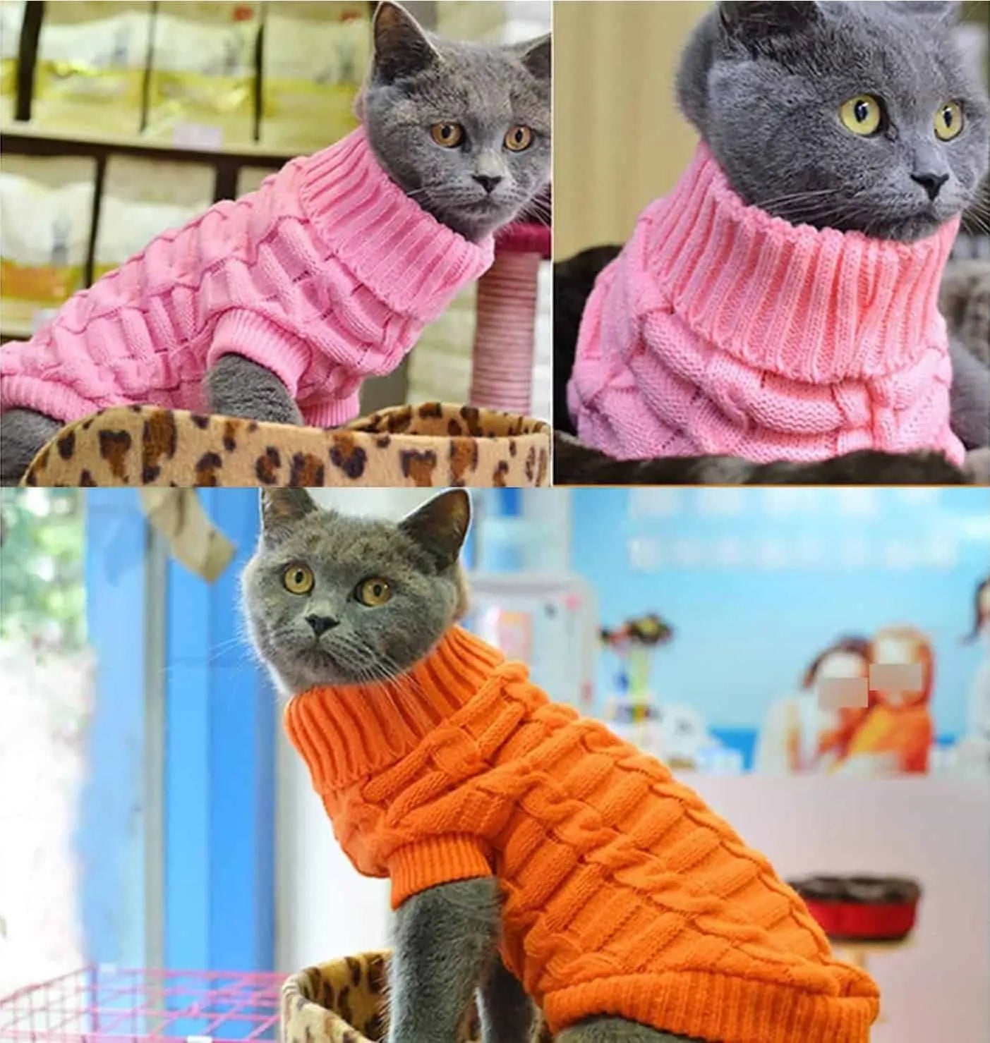 pull pour chat magnifique pas cher