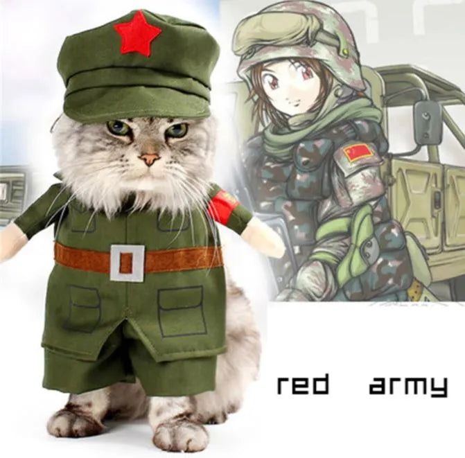 disfraz militar para gato | Chic et Chat