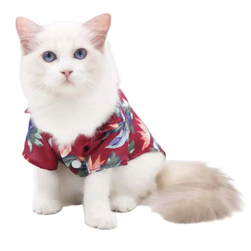 Hawaiian Cat Shirt, Summer Look - Red | Chic et Chat