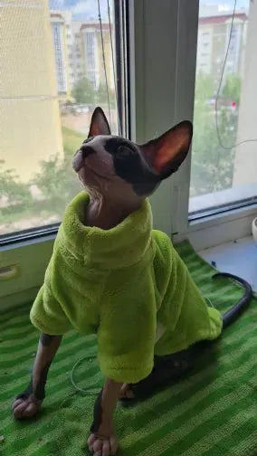 Green Sphynx cat sweaters | Chic et Chat