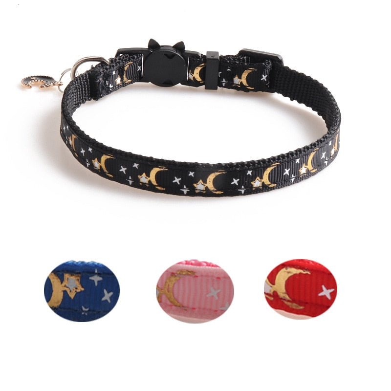 Collier pour chat anti étranglement