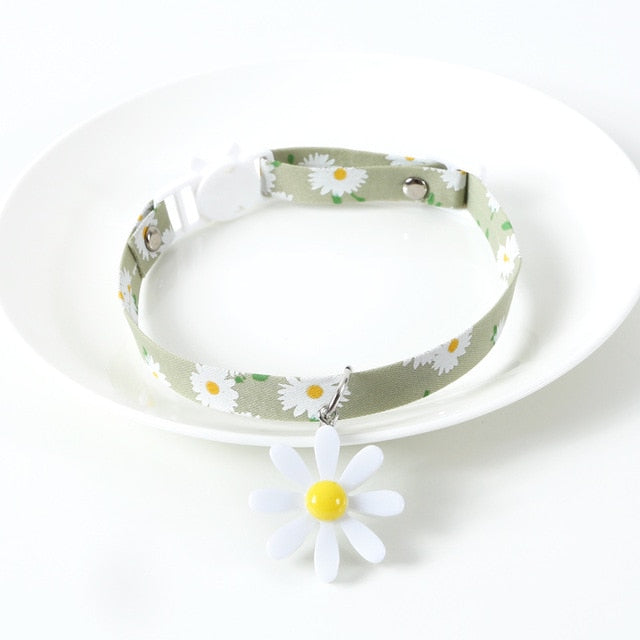 Collier pour chat fleur vert