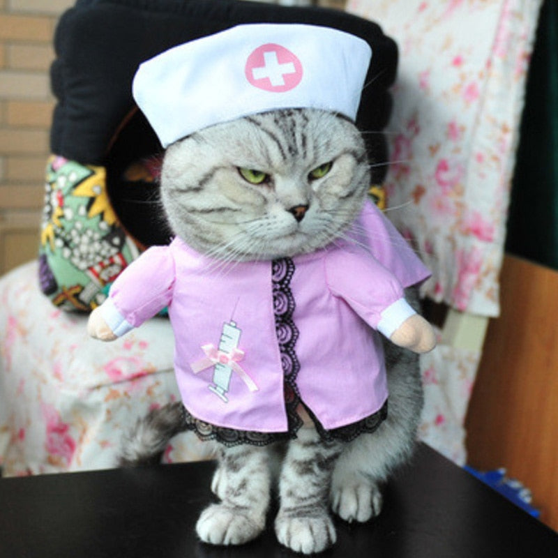 Costume pour chat infirmière