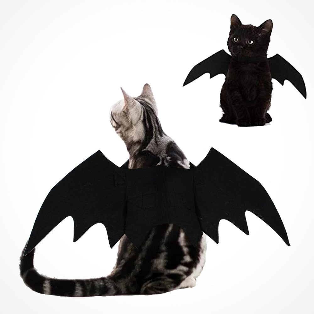 déguisement fun et rigolo pour chats chauve souris