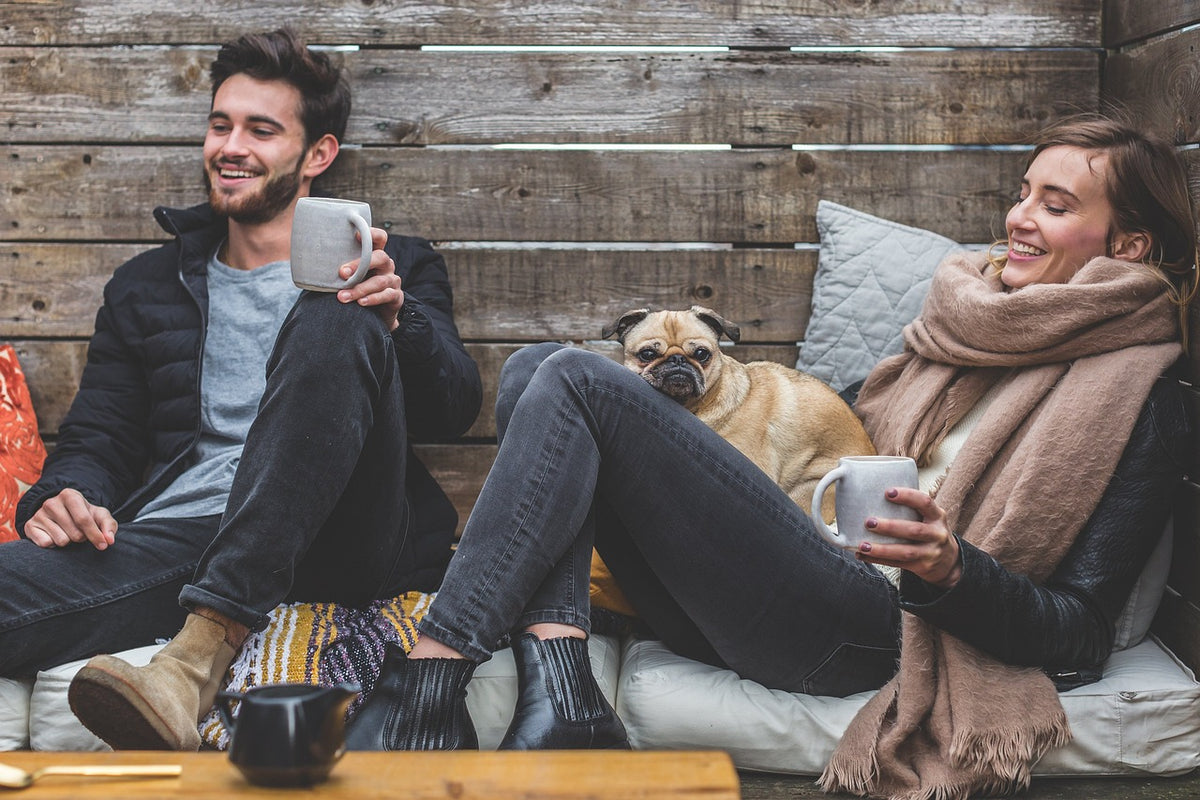 Pets and Their Positive Impact on the Family
