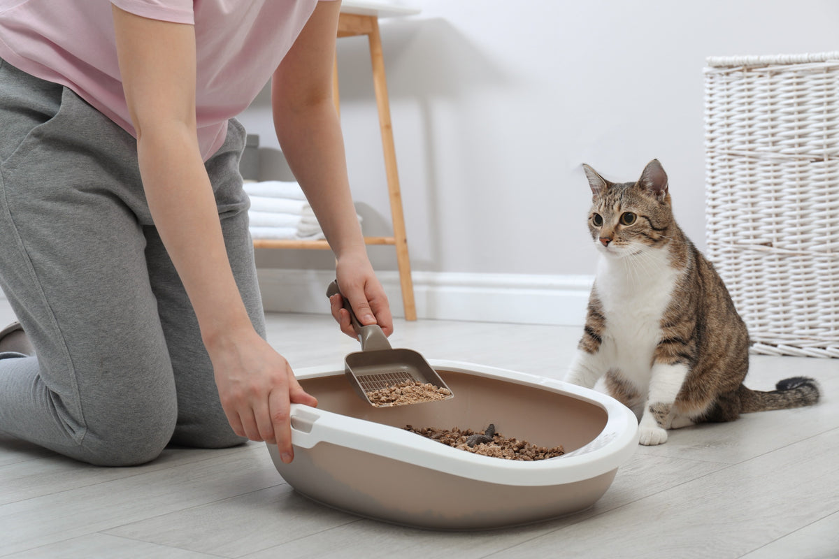 Plant-based cat litter