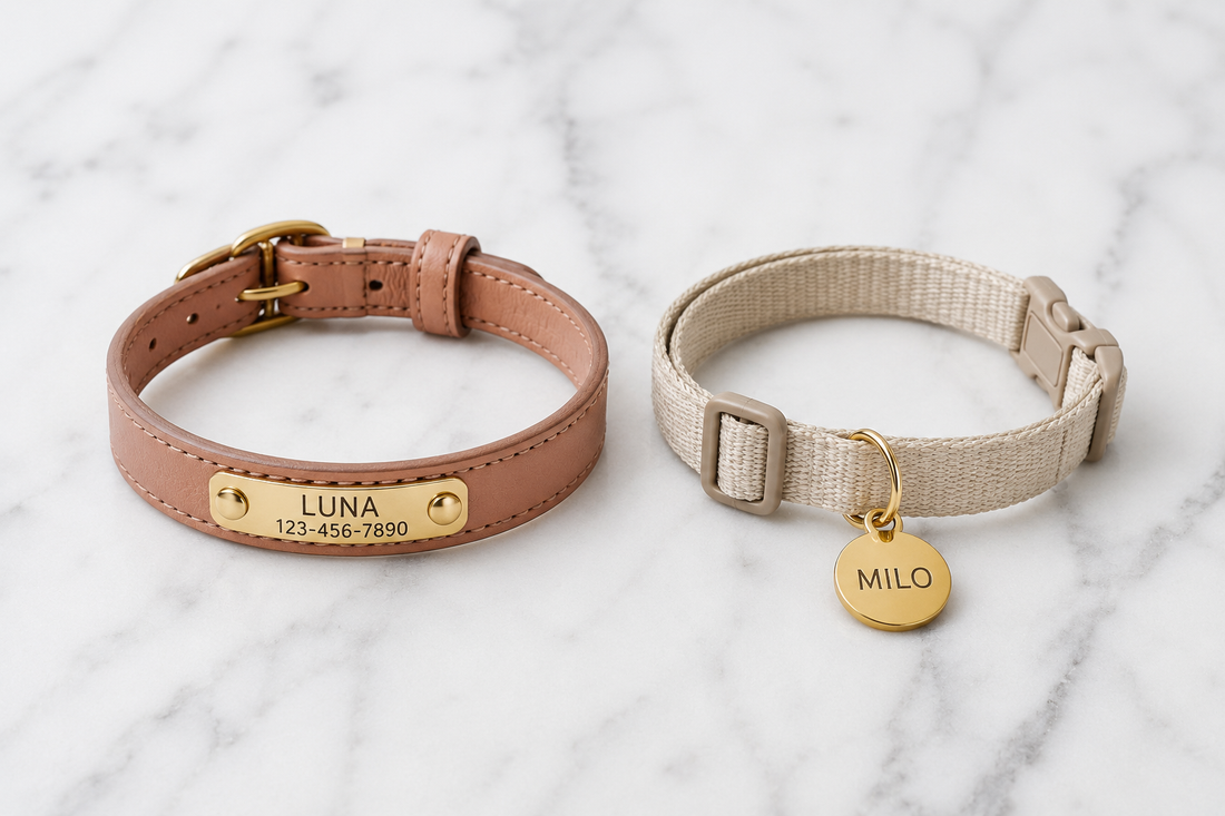 Comparatif collier chat gravé avec plaque personnalisée et collier chat avec médaille pendante