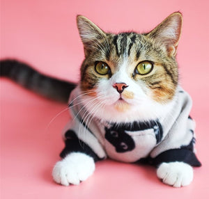 Quels sont les bienfaits des vêtements pour chat ?