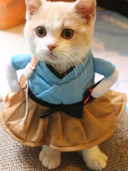 Samurai Katzenkostüm | Chic et Chat