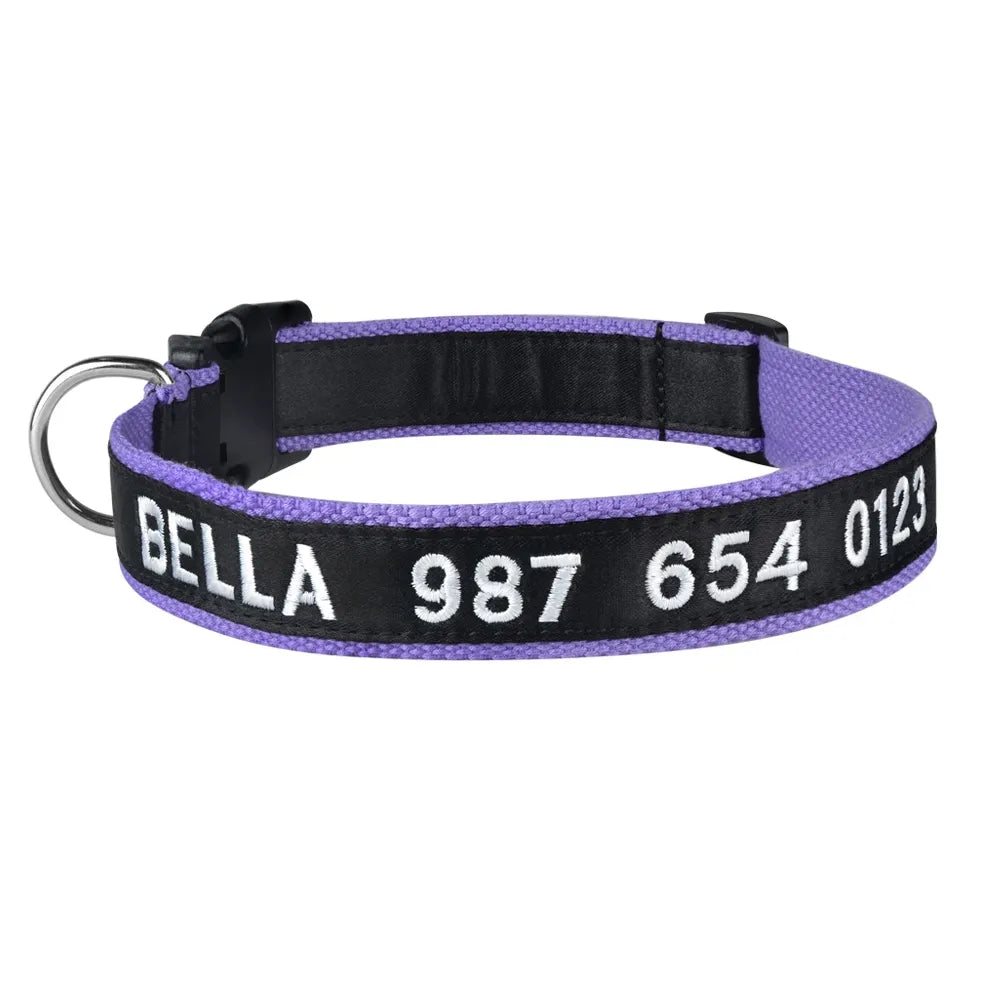 collier personnalisable pour chat violet