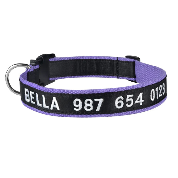 Cat Collar with Name and Phone Number