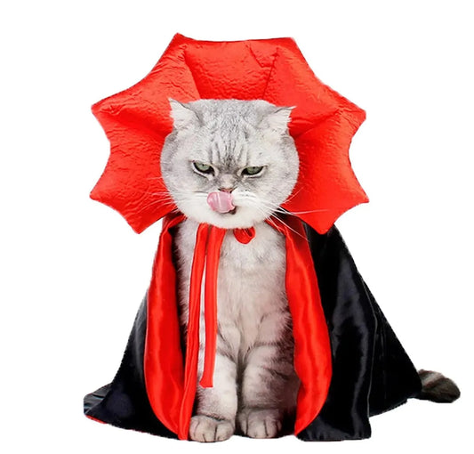 déguisement pour chat de vampire