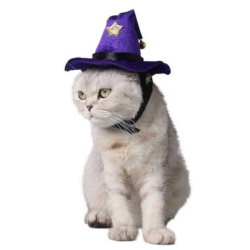 Süßer Katzenhut, Halloween Kostüm für Katzen als Zauberer | Chic et Chat