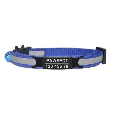 collier pour chat bleu