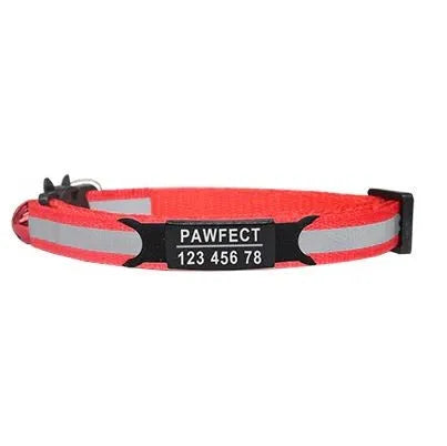 collier pour chat gravé orange