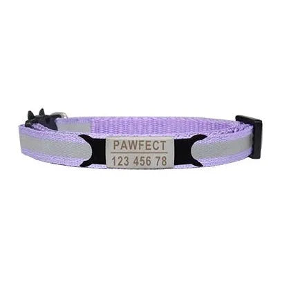 collier pour chat violet