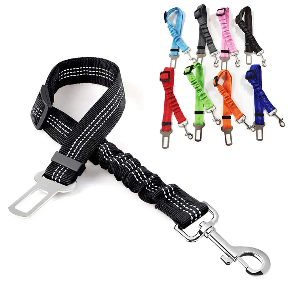 Cat leash in several colors | Chic et Chat