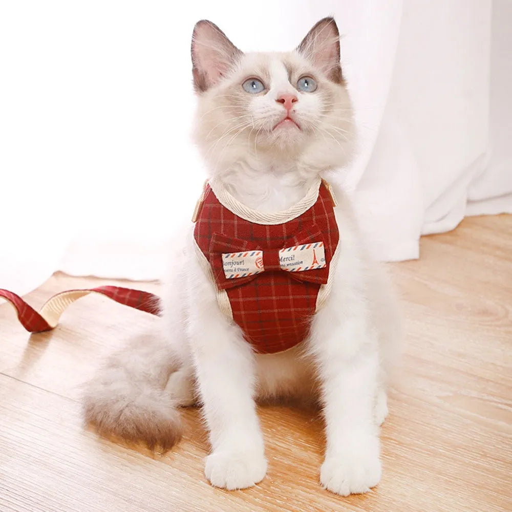 Harnais chic pour chats rouge