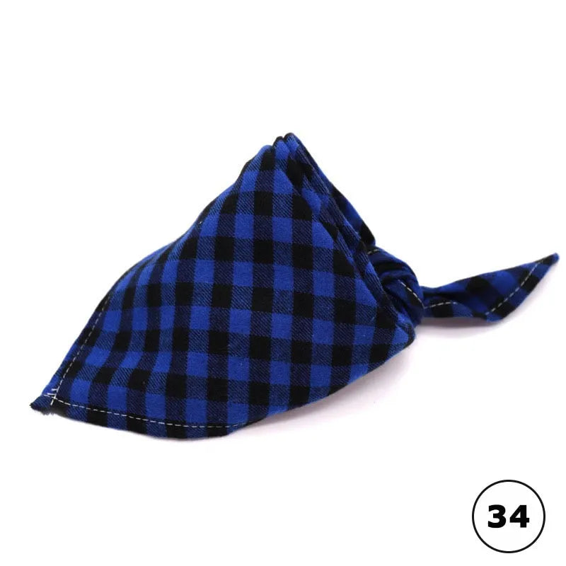 bandana carreaux pour chats 34