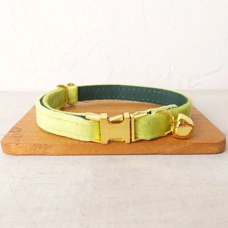 Collier personnalisé pour chat jaune
