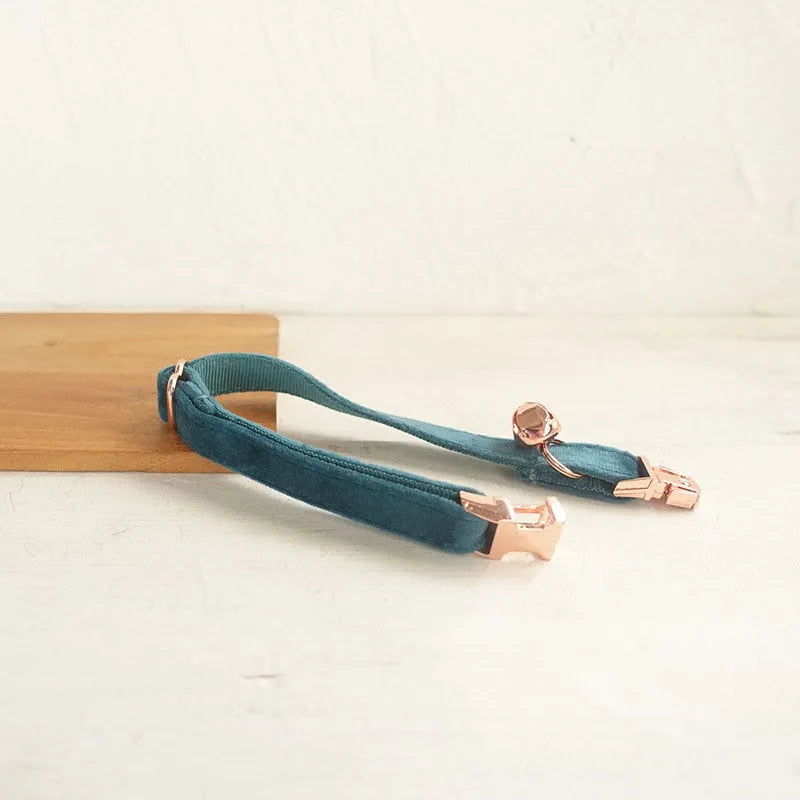 Collier personnalisé pour chat bleu or