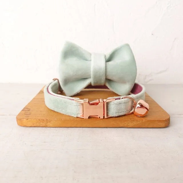 Collier personnalisé pour chat bleu vert