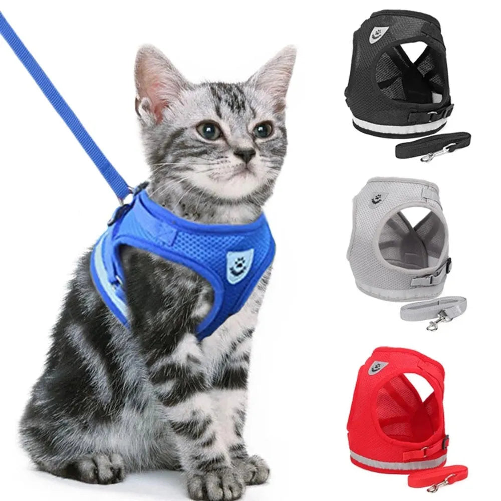 Practical blue cat harness | Chic et Chat