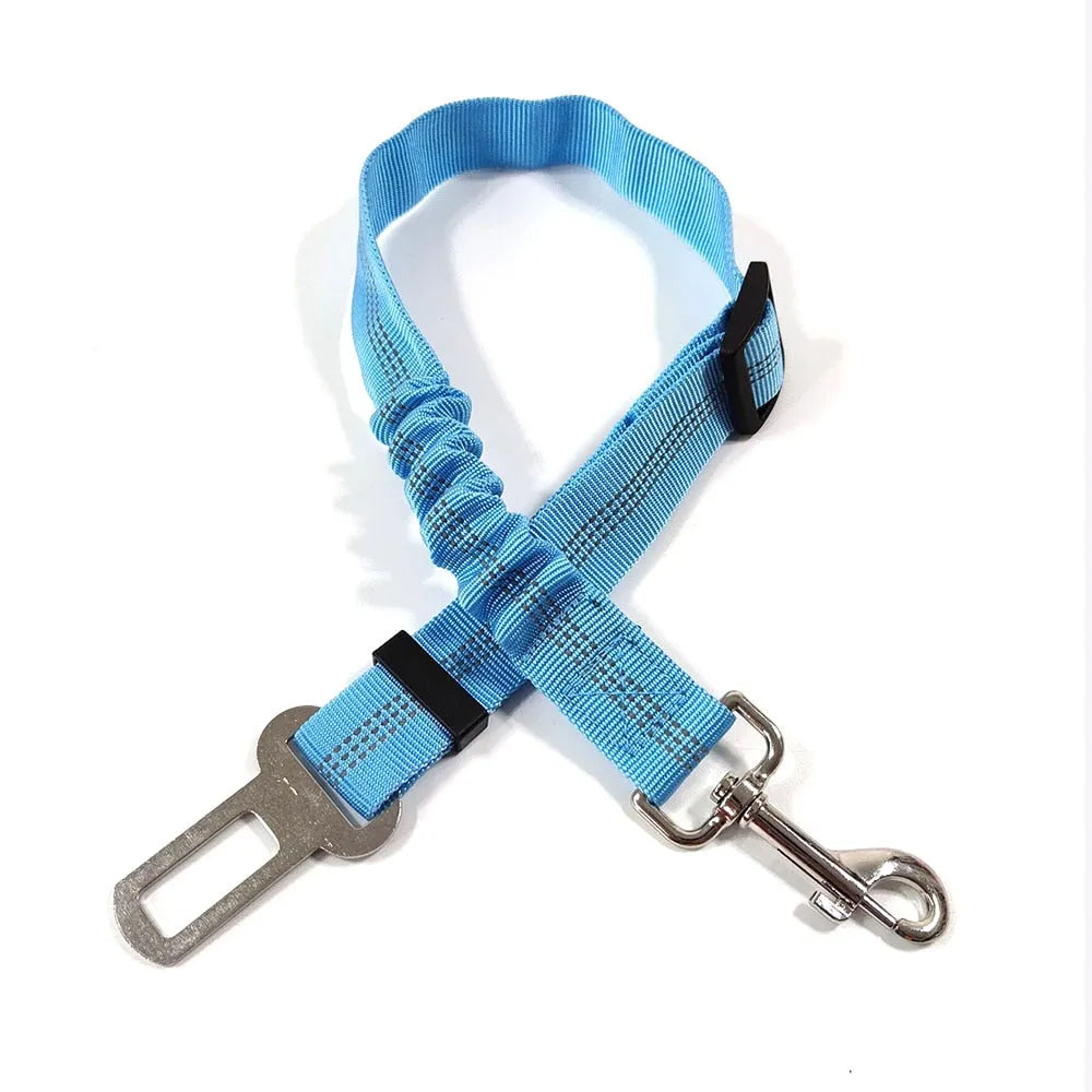 Gorgeous sky blue cat leash | Chic et Chat