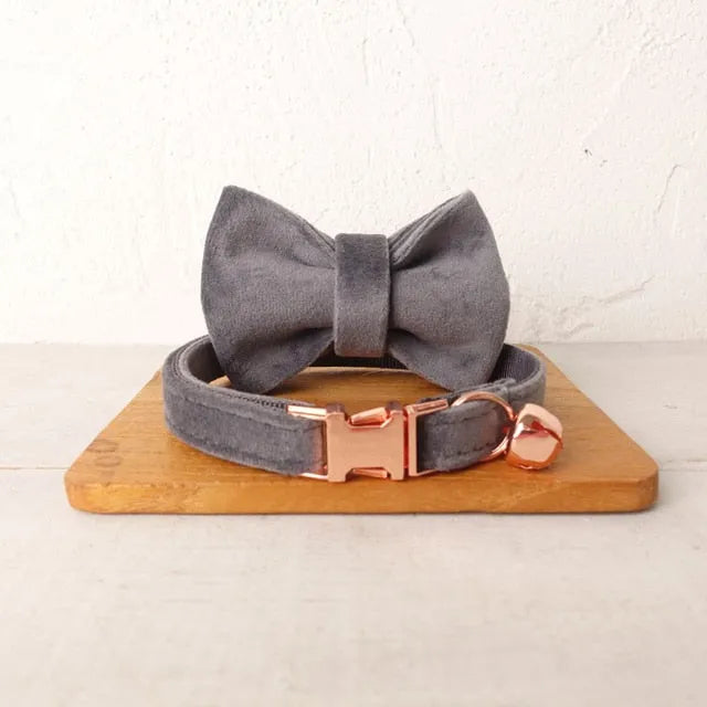 Personalisiertes Katzenhalsband in Grau | Chic et Chat