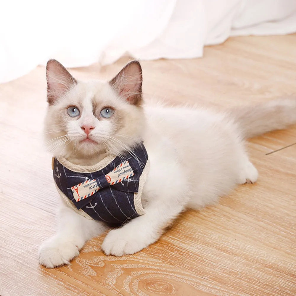 Harnais chic pour chats bleu